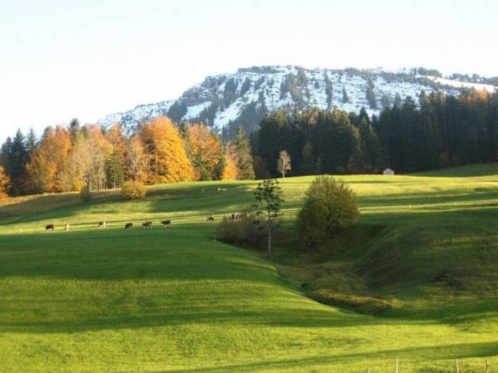 Bauernhof Hammerer Egg Habitación foto
