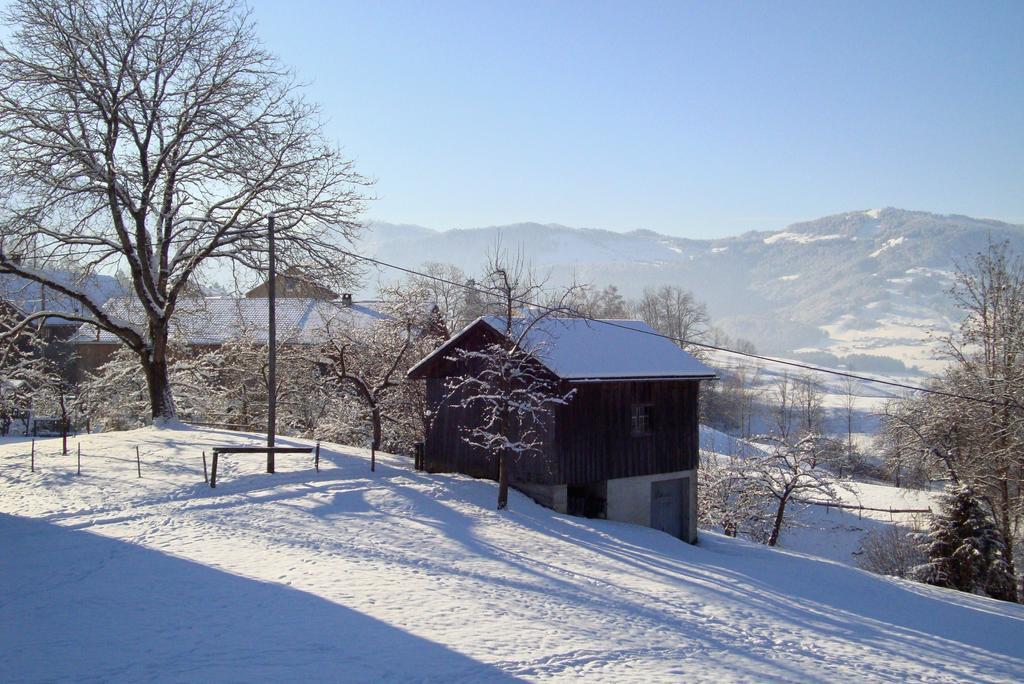 Bauernhof Hammerer Egg Habitación foto